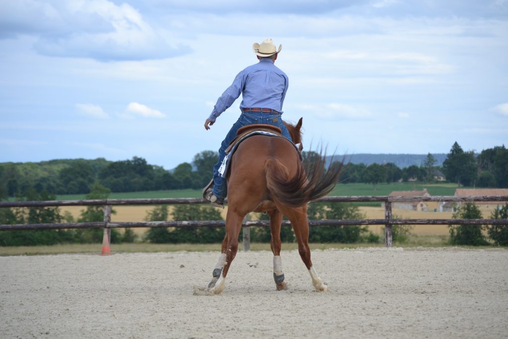 Equitation western