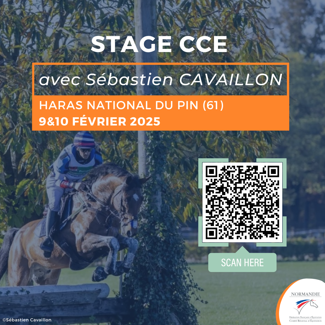 Stage cavalier CCE jeunes chevaux avec Sebastien Cavaillon