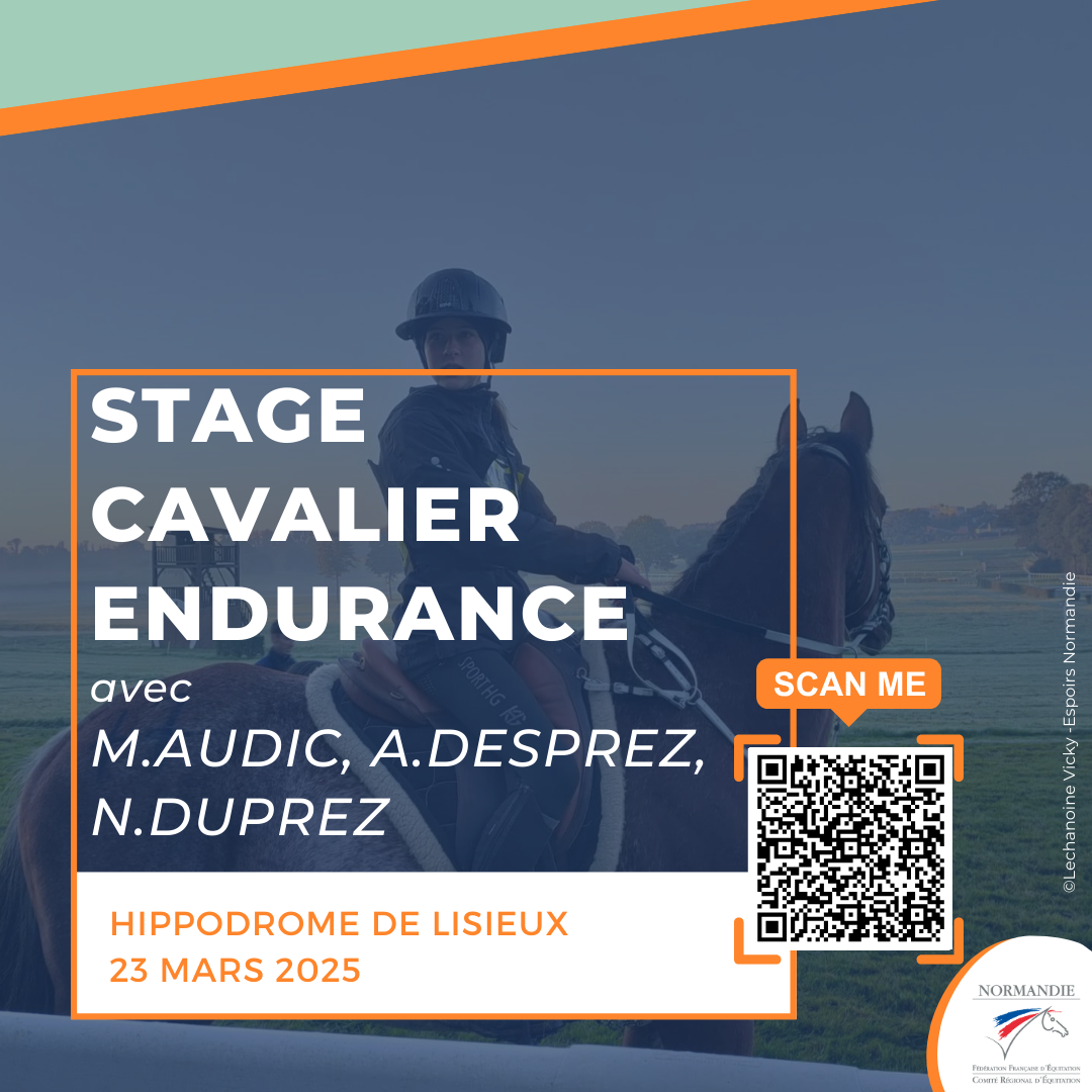 Stage perfectionnement cavalier endurance