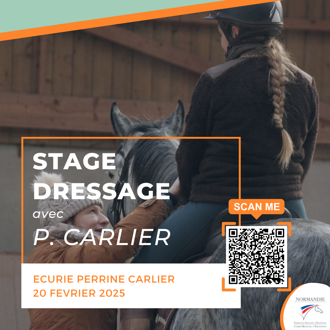 Journée technique dressage avec Perrine Carlier