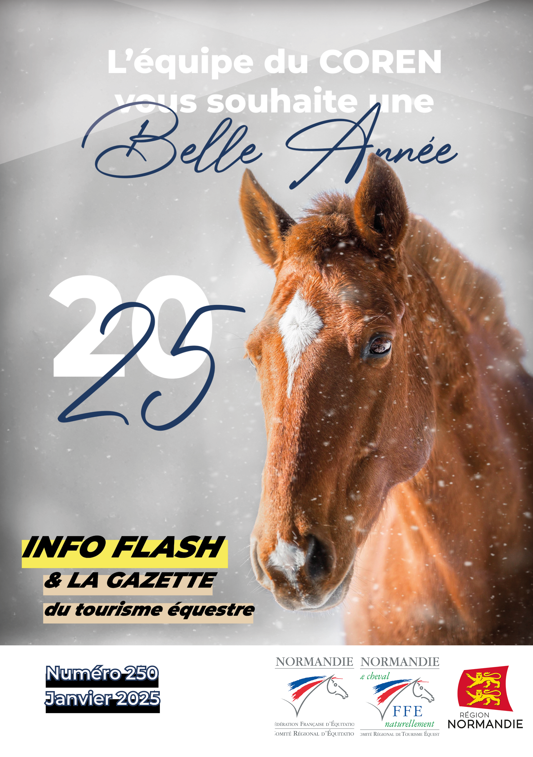 Info Flash n°250 – Janvier 2025