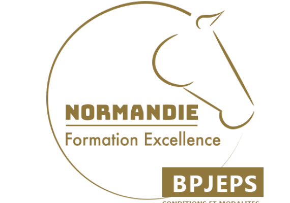 nfe-logo